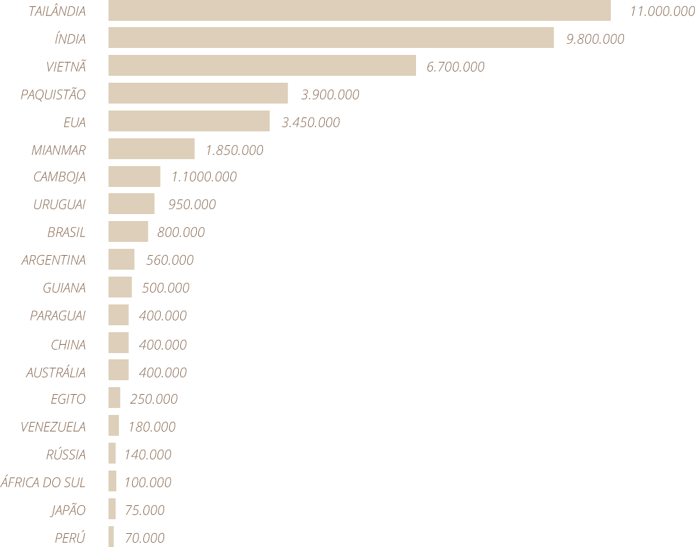Top 20 Países Exportadores de Arroz
