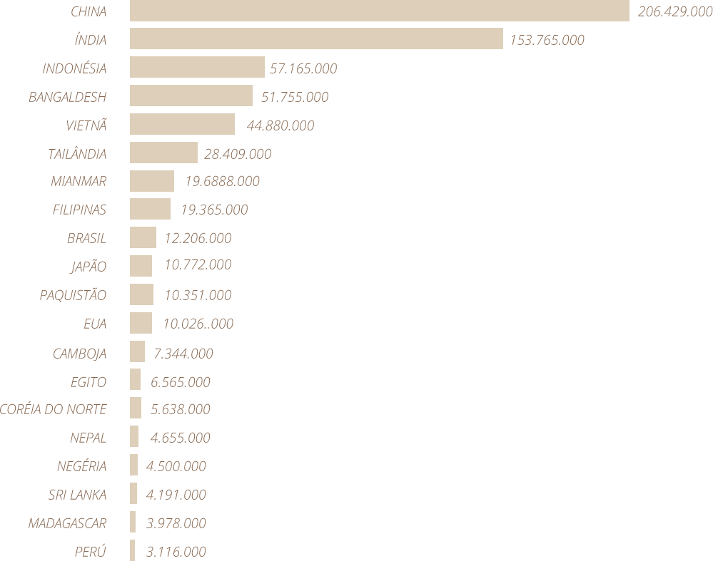 Top 20 PRODUTORES MUNDIAIS DE ARROZ